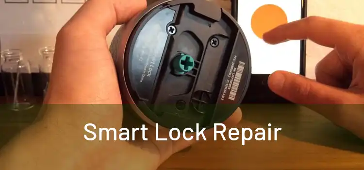  Smart Lock Repair 
